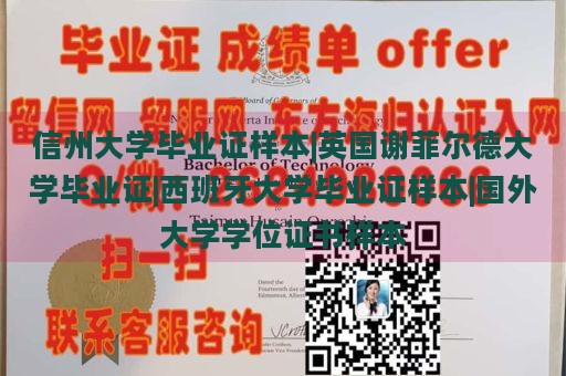 信州大学毕业证样本|英国谢菲尔德大学毕业证|西班牙大学毕业证样本|国外大学学位证书样本